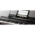 Alesis Recital 61 - фото 7