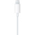 Apple EarPods with Lightning - фото 4