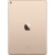 Apple iPad Air 2 Wi-Fi 16GB - фото 14