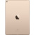 Apple iPad Air 2 Wi-Fi 32GB - фото 14