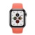 Apple Watch 5 Steel - фото 12