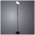 Торшер Arte Lamp Sceptrum A1822PN-1BK - фото 1