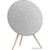 Bang & Olufsen BeoSound A9 Natural Aluminium - фото 1