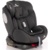 Bertoni Lyra Isofix - фото 2