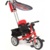 Capella Air Trike - фото 1