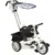 Capella Air Trike - фото 6