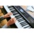 Casio CT-S410 - фото 1