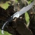 Cold Steel Espada Large S35VN - фото 11