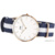 Daniel Wellington Classic Glasgow Gold - фото 2