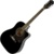 Epiphone AJ-220SCE - фото 1