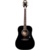 Epiphone Pro-1 Acoustic Ebony - фото 1