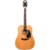 Epiphone Pro-1 Acoustic Natural - фото 1