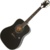 Epiphone PRO-1 Plus Acoustic Ebony - фото 2