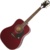 Epiphone PRO-1 Plus Acoustic - фото 4