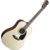 Fender CD-60 DREADNOUGHT - фото 1