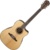 Fender F-1000 Dreadnought Natural - фото 1