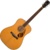 Fender PD-220E Dreadnought - фото 12