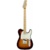 Fender PLAYER TELE MN 3TS - фото 1