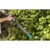 Gardena EasyCut Li-40 - фото 6