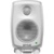 Genelec 6010A - фото 1