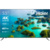 Haier 55 Smart TV S2 - фото 1