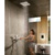 Hansgrohe RainSelect 15355000 - фото 2