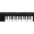 IK Multimedia iRig Keys 2 IP-IRIG-KEYS2-IN - фото 1