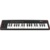 IK Multimedia iRig Keys 2 IP-IRIG-KEYS2-IN - фото 3