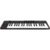 IK Multimedia iRig Keys 2 IP-IRIG-KEYS2-IN - фото 4