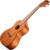 Kala Exotic Mahogany Concert Ukulele - фото 1