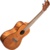 Kala Exotic Mahogany Concert Ukulele - фото 2