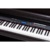 Kurzweil MP15 - фото 1