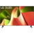 LG OLED B4 OLED55B4RLA - фото 1