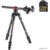 Manfrotto MKBFRC4GTXP-BH - фото 14