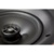 Martin Logan IC6 Paintable - фото 7