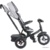 Mini Trike T420 - фото 4