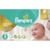 Pampers Premium Care 3 Midi - фото 1