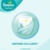 Pampers ProCare 3 / 32 pcs - фото 4