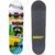 Plank Raccoon P22-SKATE-PACCON - фото 1