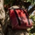 Reisenthel Daypack Canvas Russet - фото 3