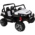 RiverToys Buggy T009TT - фото 1