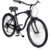 Schwinn Panther (2015) - фото 2