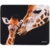 SmartBuy Giraffe S SBMP-103-GI - фото 1