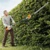 STIHL HLA 65 - фото 2