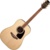 Takamine GD51 - фото 1