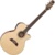 Takamine TSP138C - фото 1