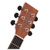 Tanglewood DBT DCE FMH - фото 3