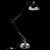 Arte Lamp A2487PN-1CC - фото 2