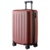 Xiaomi Ninetygo Danube Luggage - фото 4