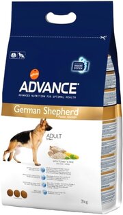 Advance German Shepherd фото